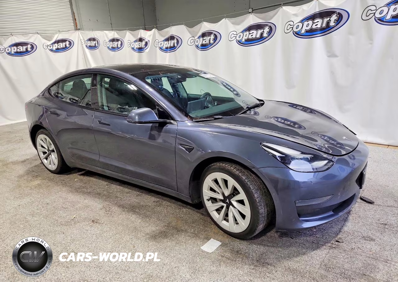 2022 Tesla Model 3 VIN:5YJ3E1EAXNF185690 - 4