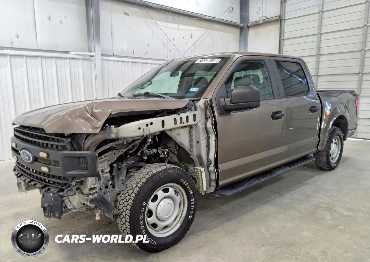 2019 Ford F150 Supercrew VIN:1FTEW1CP6KKE83469 - 1