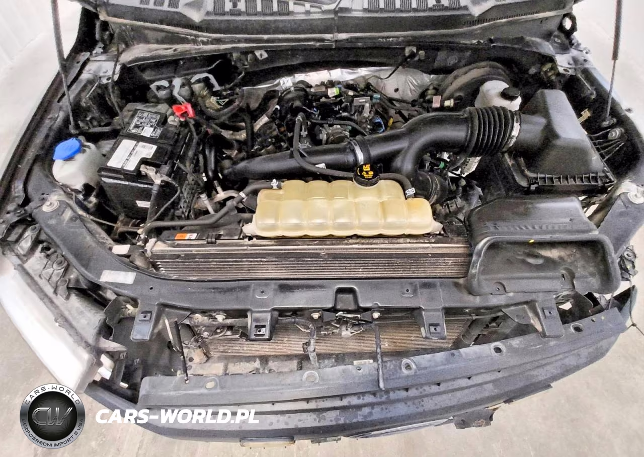2019 Ford F150 Supercrew VIN:1FTEW1CP6KKE83469 - 11