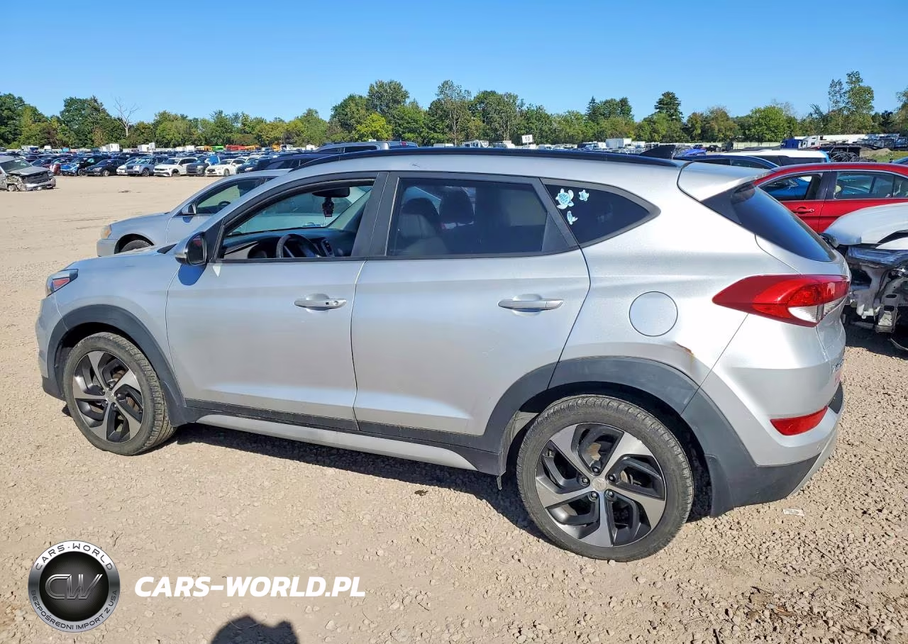 2018 Hyundai Tucson Value VIN:KM8J3CA25JU730828 - 2