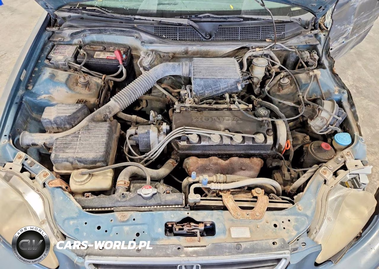 1998 Honda Civic Lx VIN:2HGEJ6677WH586423 - 11