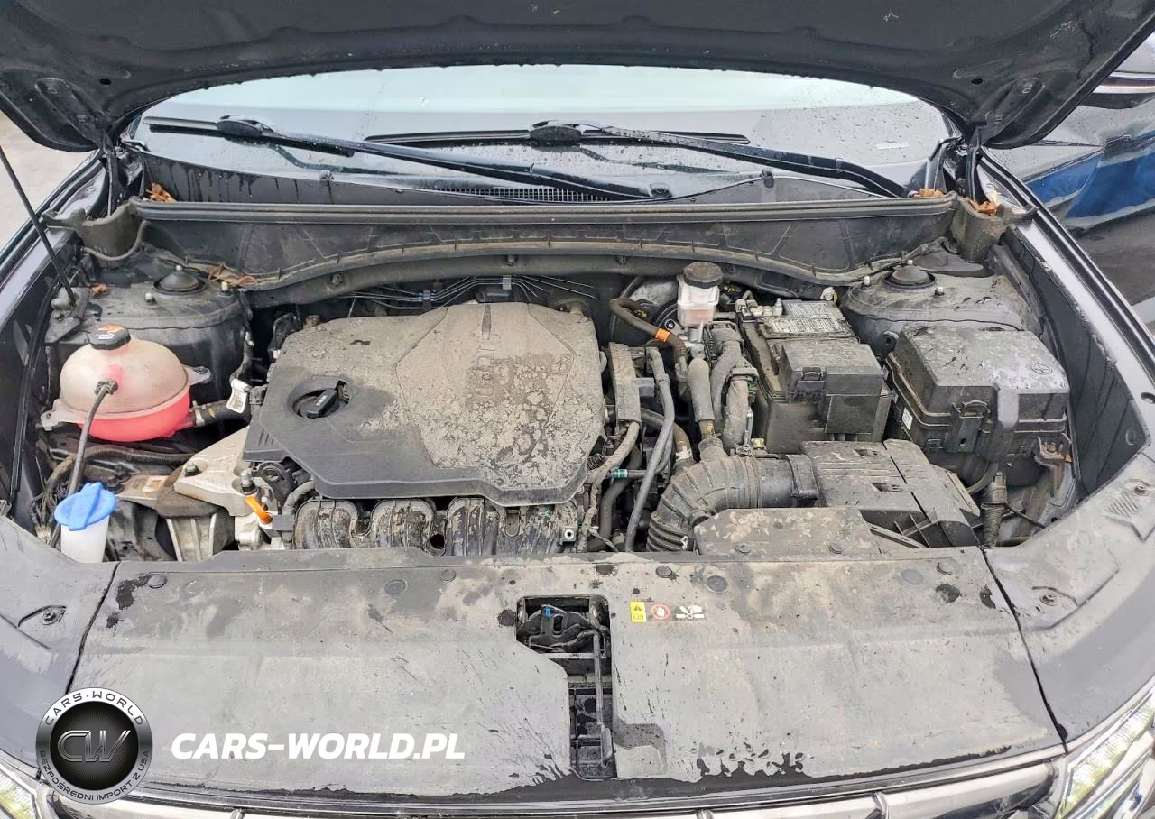 2022 Hyundai Tucson Limited VIN:5NMJECAE6NH039801 - 11