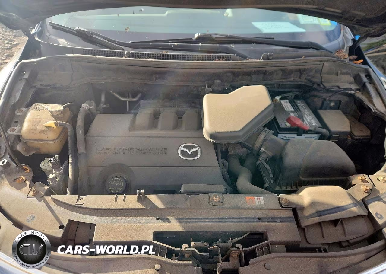 2010 Mazda Cx-9 VIN:JM3TB3MV0A0226790 - 12