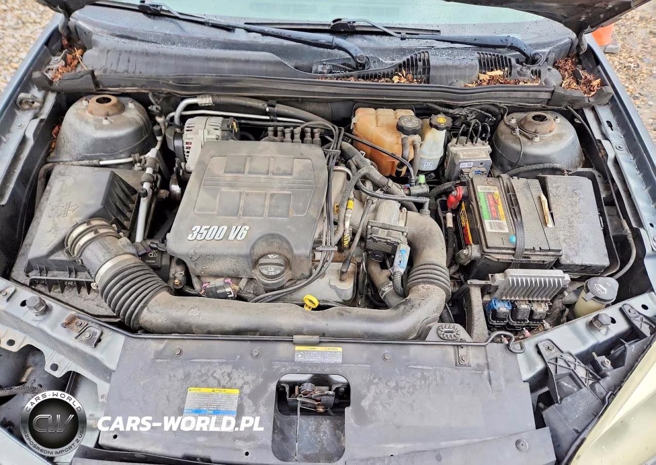 2006 Chevrolet Malibu Maxx Lt VIN:1G1ZT61876F113352 - 11
