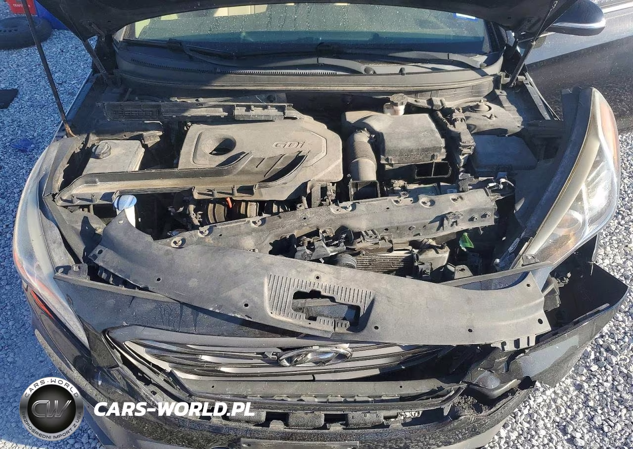 2017 Hyundai Sonata Sport VIN:5NPE34AF9HH485079 - 11