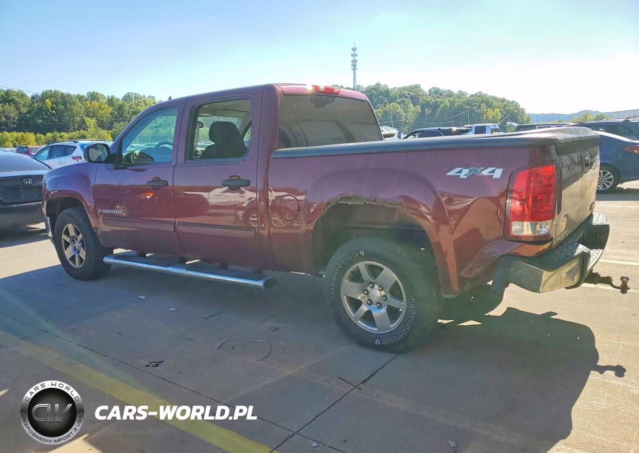 2009 GMC Sierra K1500 VIN:3GTEK13C19G206738 - 2