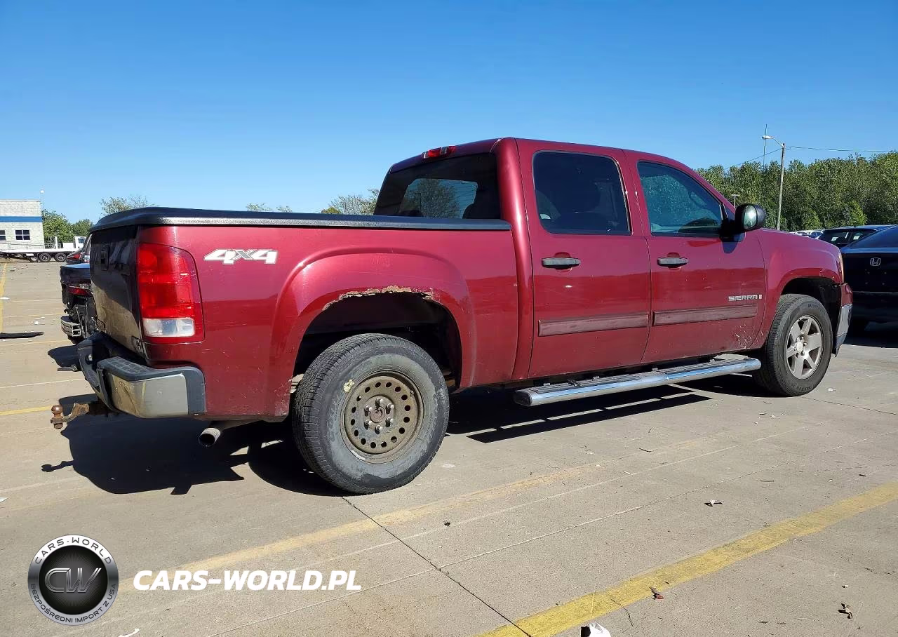 2009 GMC Sierra K1500 VIN:3GTEK13C19G206738 - 3