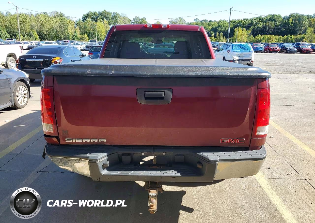 2009 GMC Sierra K1500 VIN:3GTEK13C19G206738 - 6