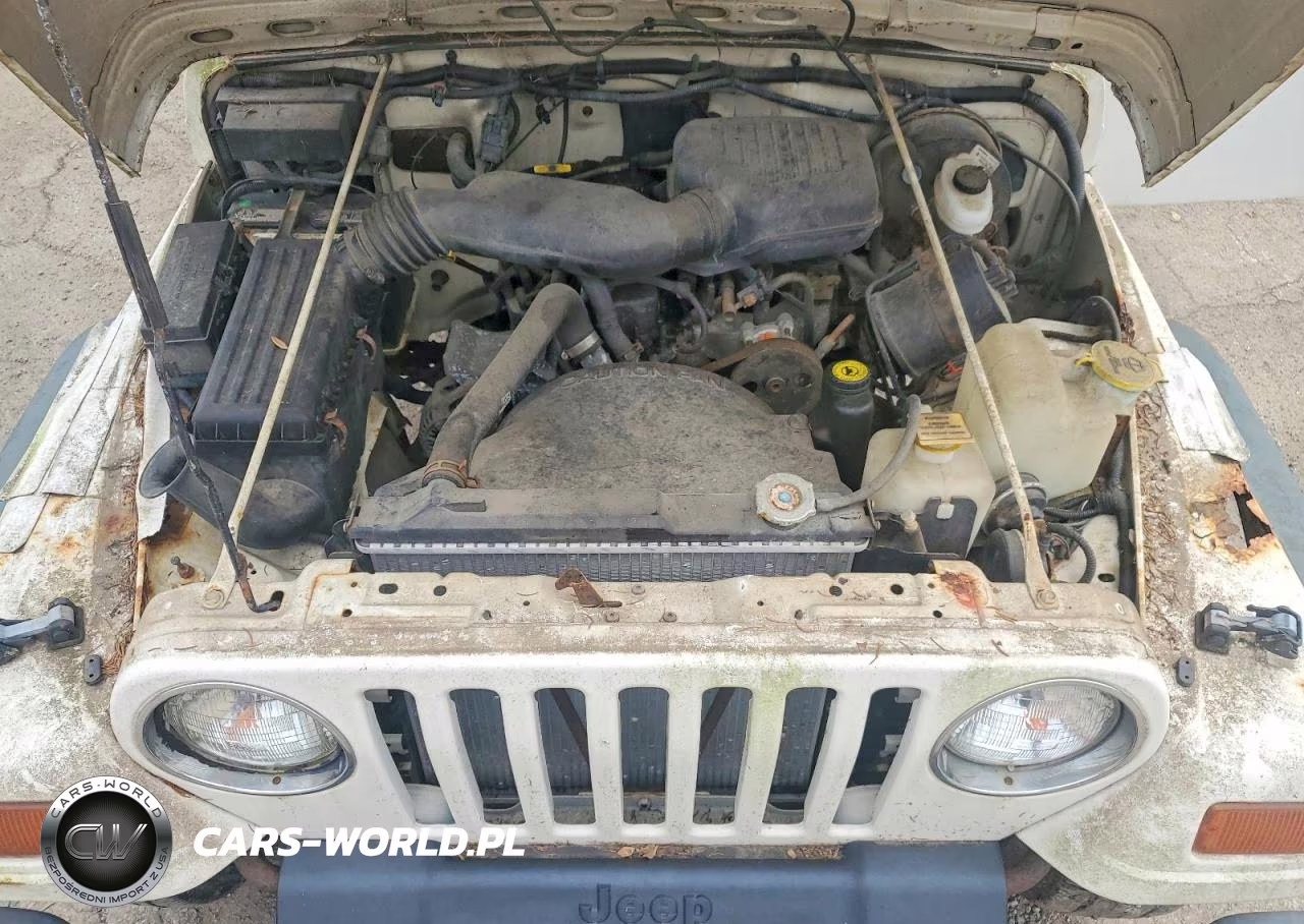 1997 Jeep Wrangler - Tj Se VIN:1J4FY29PXVP403278 - 12