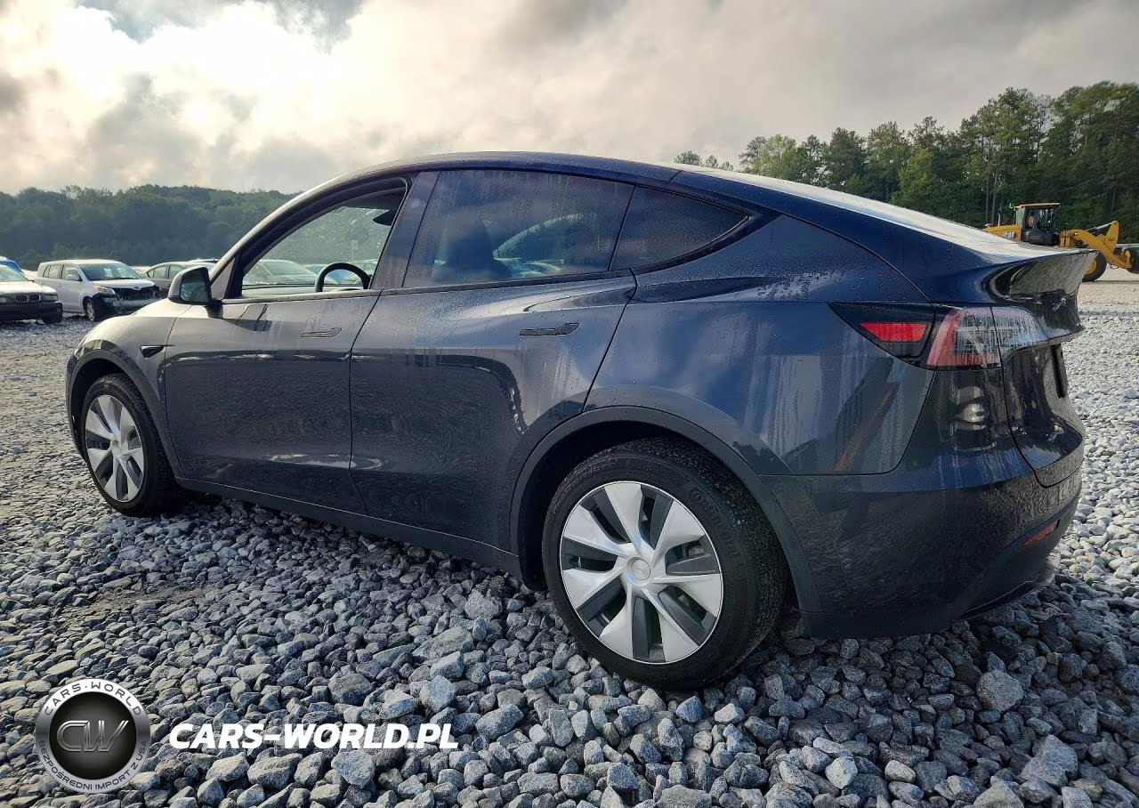 2024 Tesla Model Y VIN:7SAYGDED6RF056284 - 2