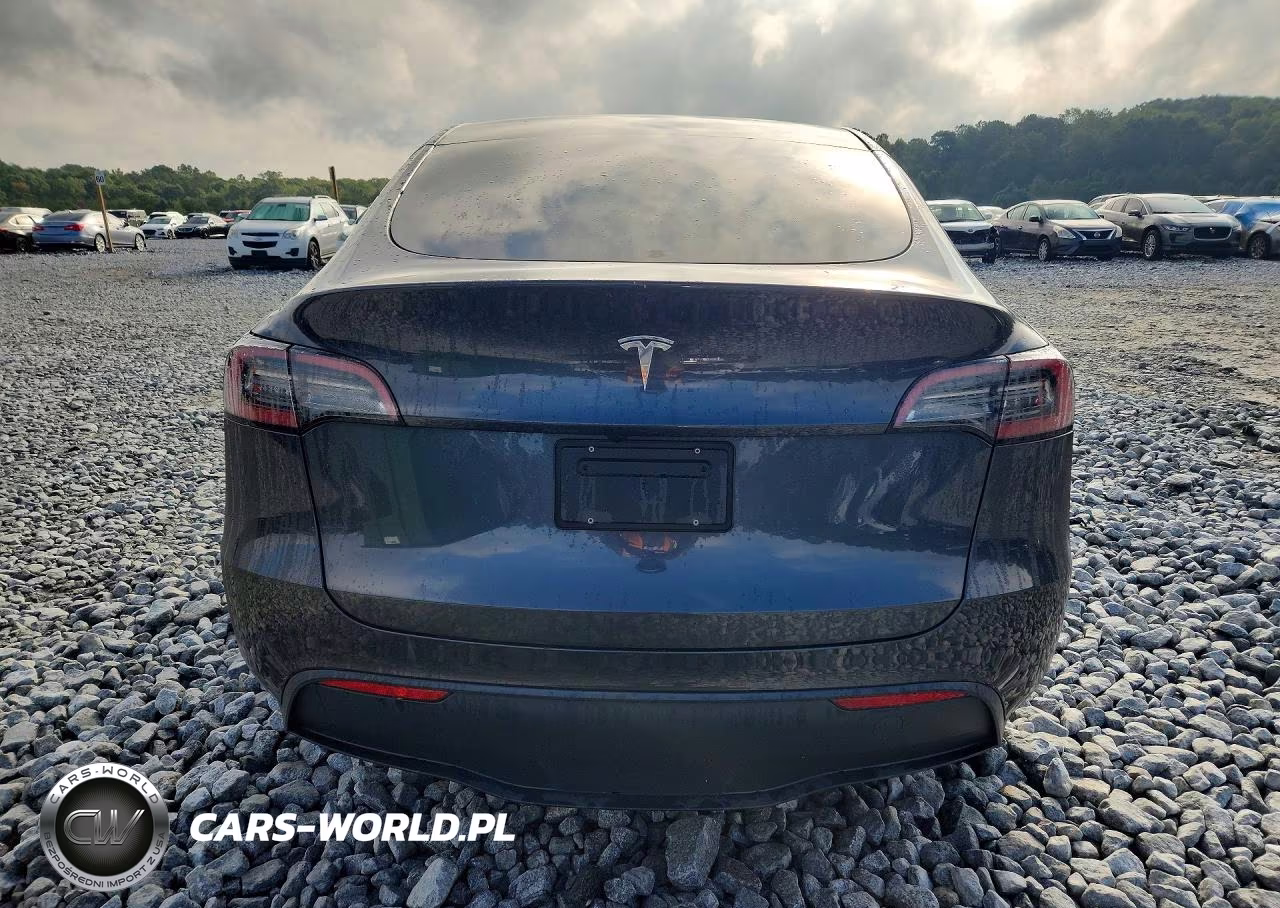 2024 Tesla Model Y VIN:7SAYGDED6RF056284 - 6