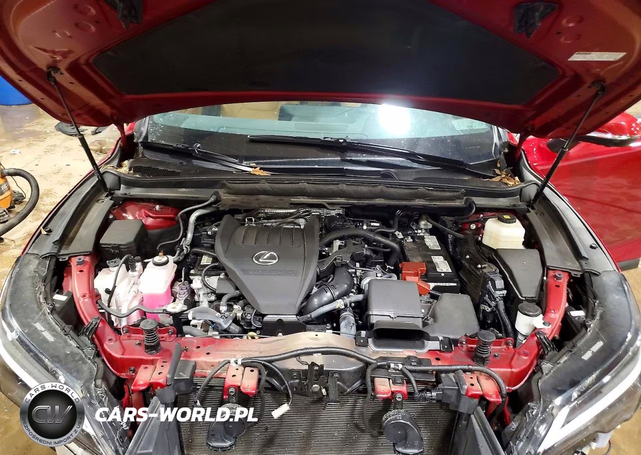 2024 Lexus Rx 350 Premium VIN:2T2BAMCA7RC042519 - 12