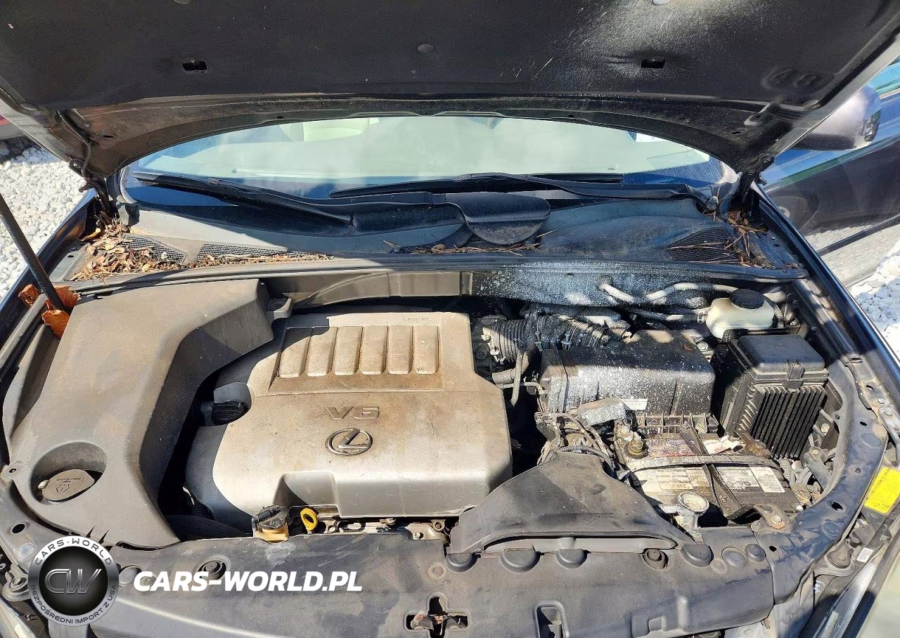 2009 Lexus Rx 350 VIN:2T2HK31U69C120013 - 12