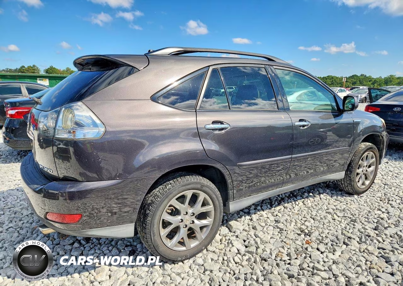2009 Lexus Rx 350 VIN:2T2HK31U69C120013 - 3