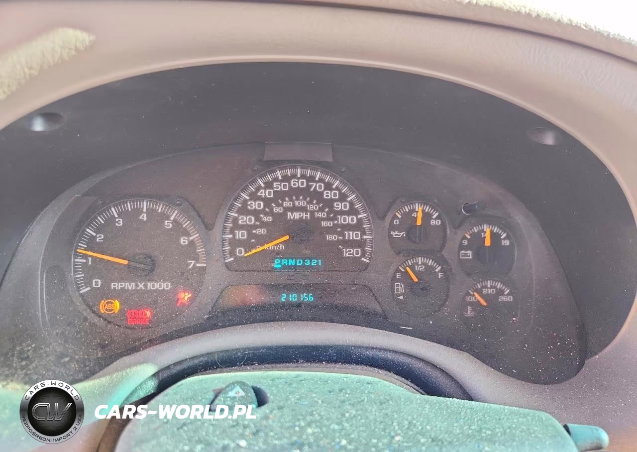 2003 Chevrolet Trailblazer VIN:1GNDS13S932254398 - 9