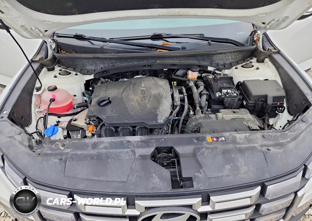 2025 Hyundai Santa Cruz Sel Activity VIN:5NTJC4DE0SH127623 - 12