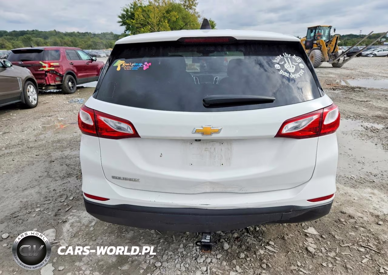 2020 Chevrolet Equinox Ls VIN:3GNAXHEV9LS525601 - 6