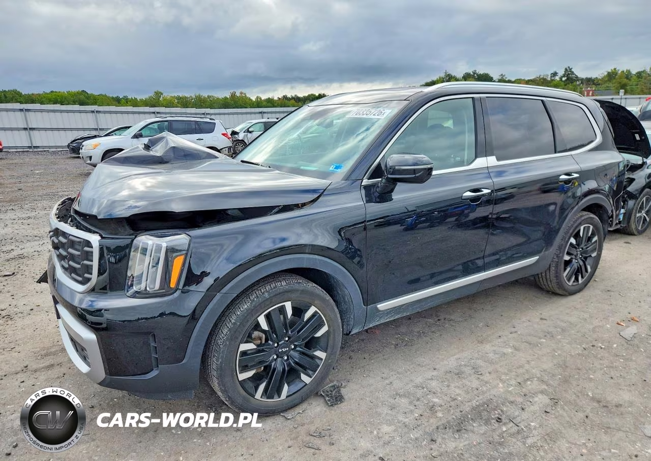 2023 Kia Telluride Sx-Prestige VIN:5XYP5DGCXPG346164 - 1