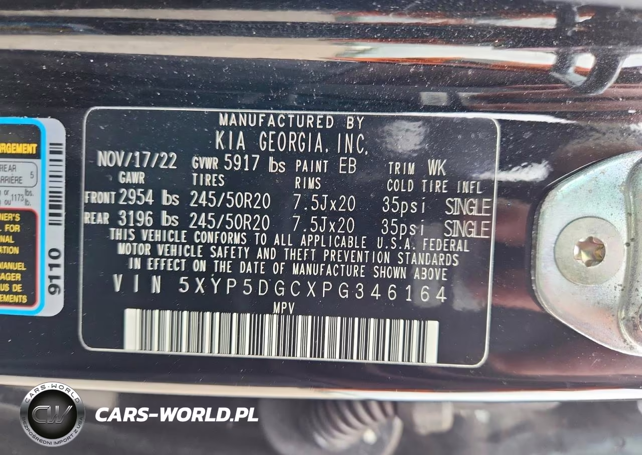 2023 Kia Telluride Sx-Prestige VIN:5XYP5DGCXPG346164 - 13