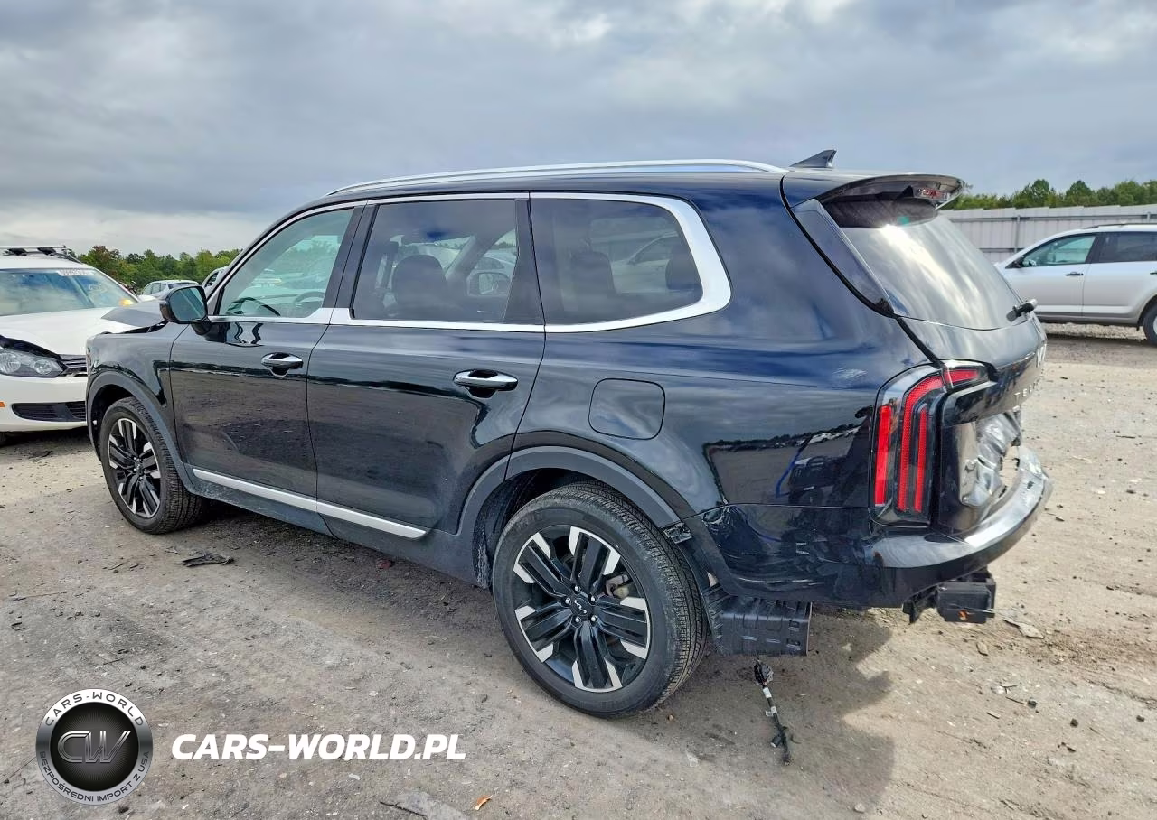 2023 Kia Telluride Sx-Prestige VIN:5XYP5DGCXPG346164 - 2
