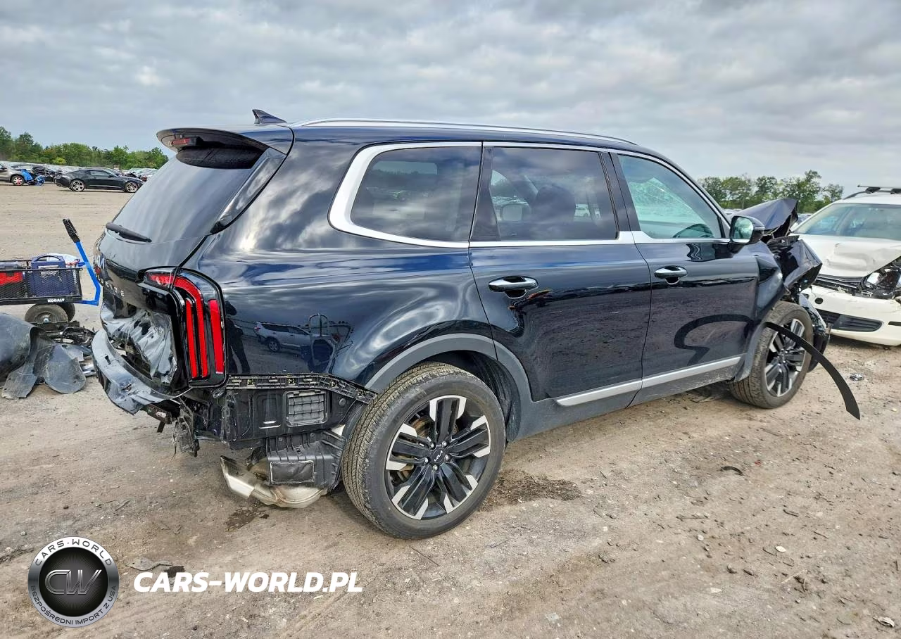 2023 Kia Telluride Sx-Prestige VIN:5XYP5DGCXPG346164 - 3