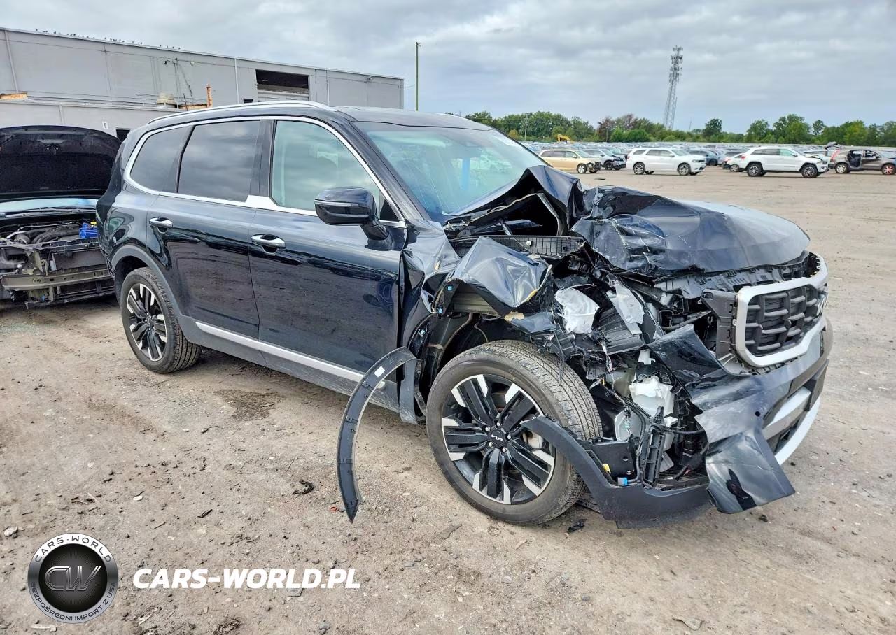 2023 Kia Telluride Sx-Prestige VIN:5XYP5DGCXPG346164 - 4