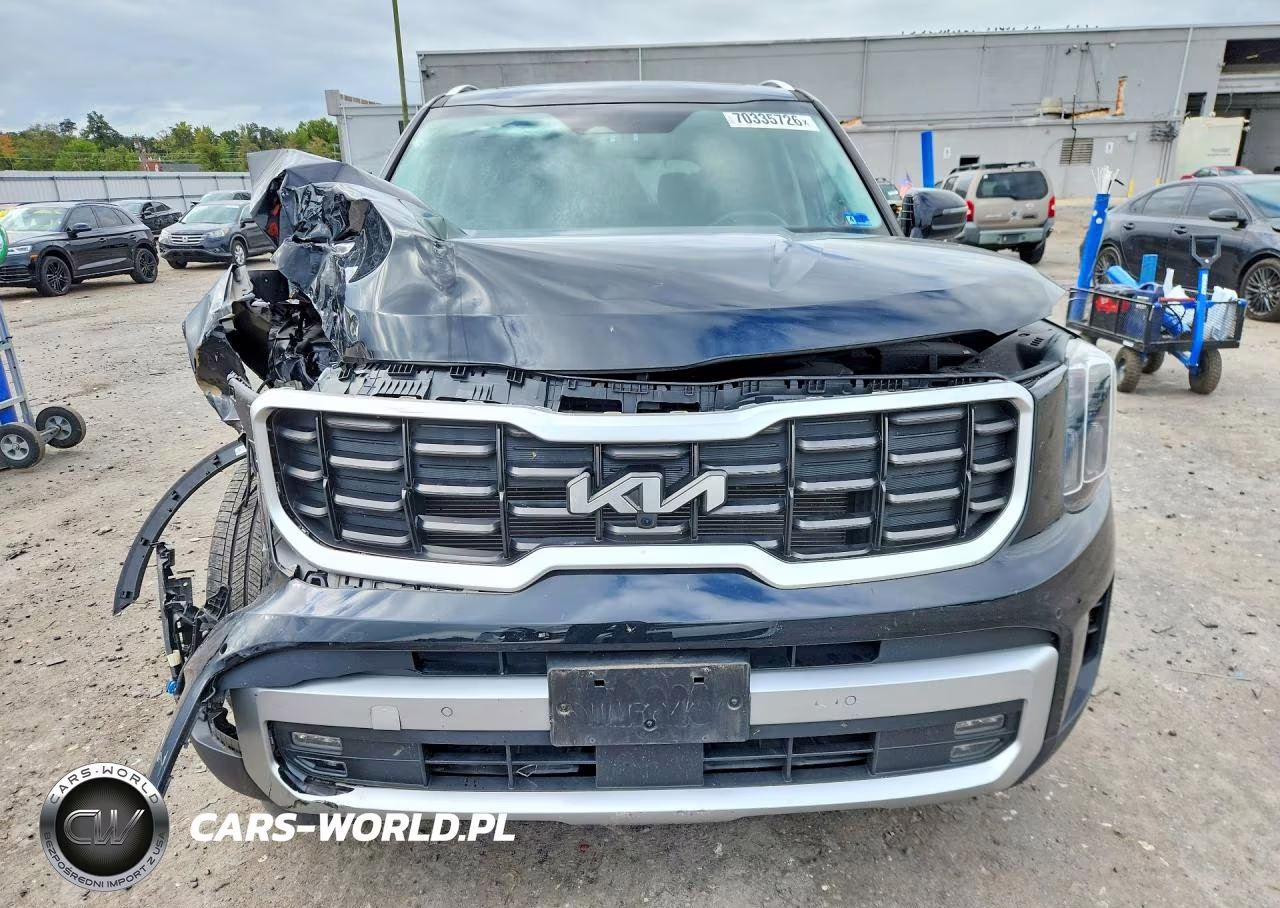2023 Kia Telluride Sx-Prestige VIN:5XYP5DGCXPG346164 - 5