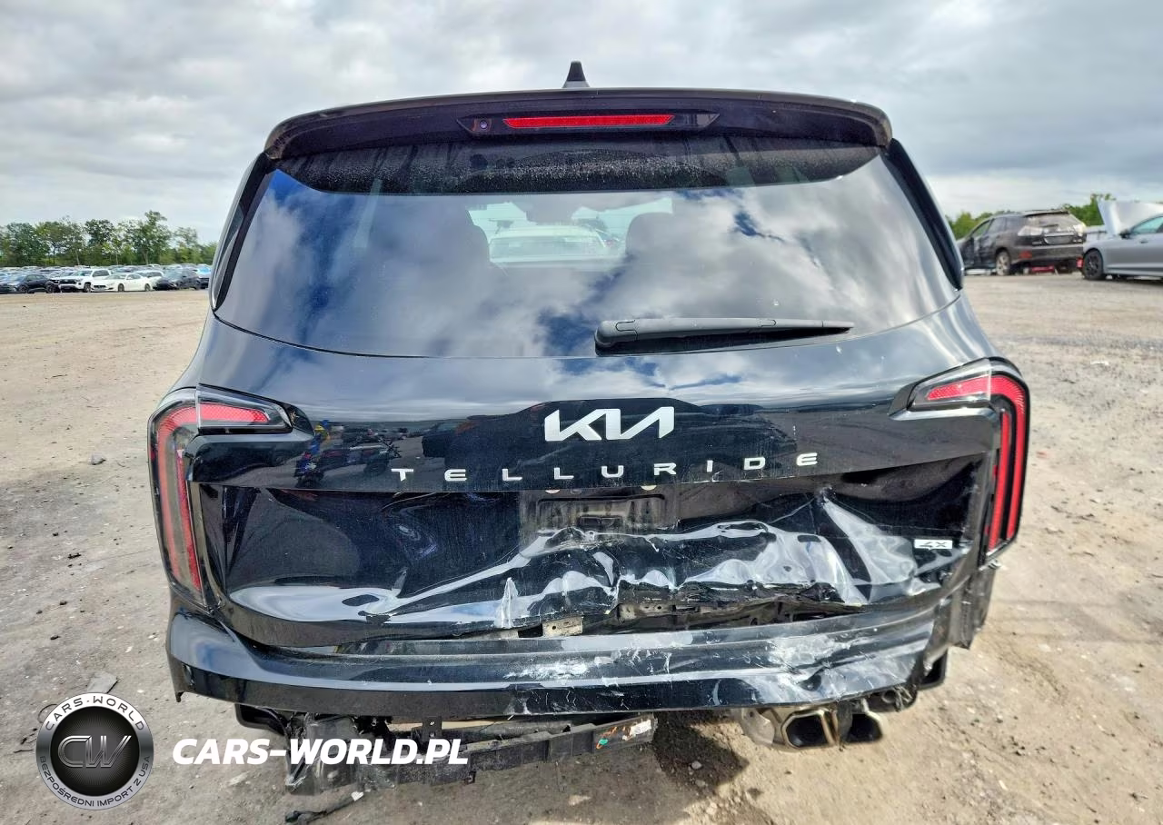 2023 Kia Telluride Sx-Prestige VIN:5XYP5DGCXPG346164 - 6