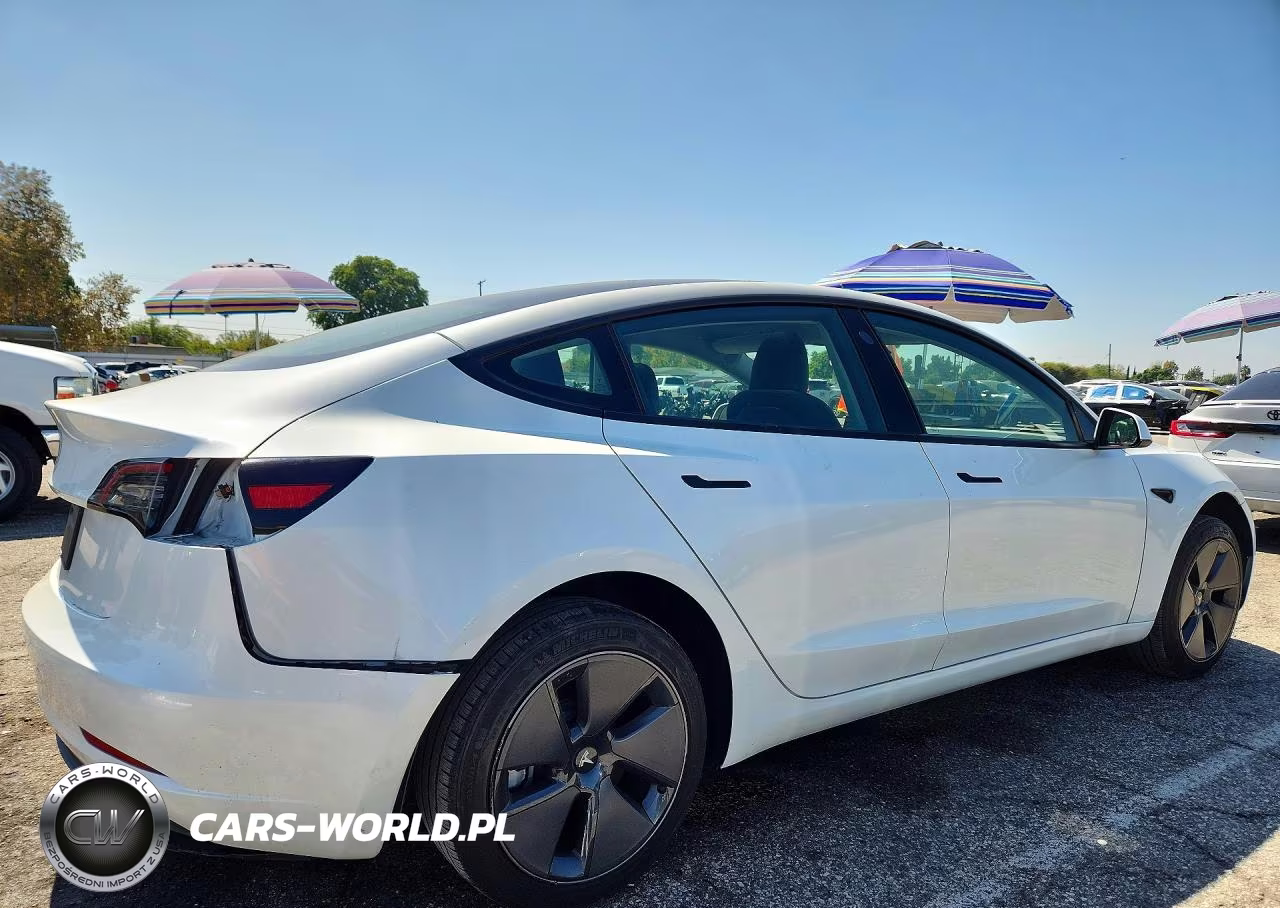 2023 Tesla Model 3 VIN:5YJ3E1EA2PF612041 - 3