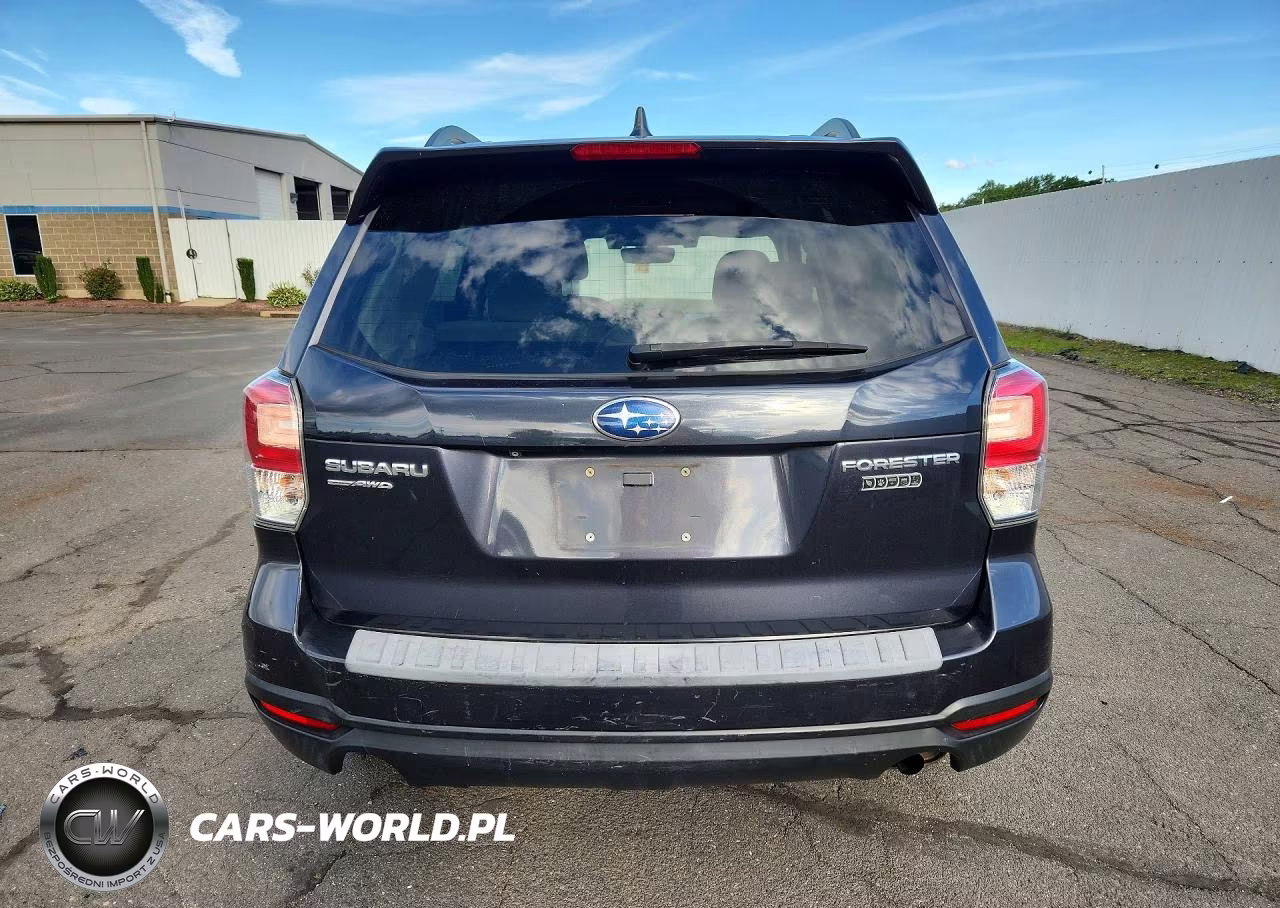 2018 Subaru Forester 2.5I Premium VIN:JF2SJAGCXJH440291 - 6