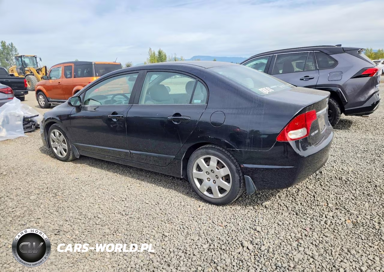 2009 Honda Civic Lx VIN:19XFA16559E006462 - 2