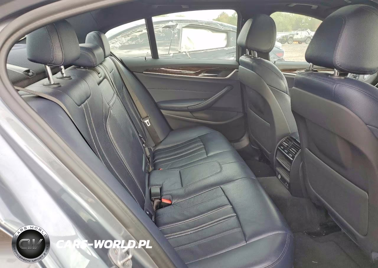 2020 BMW 530 Xi VIN:WBAJR7C04LCD10038 - 10
