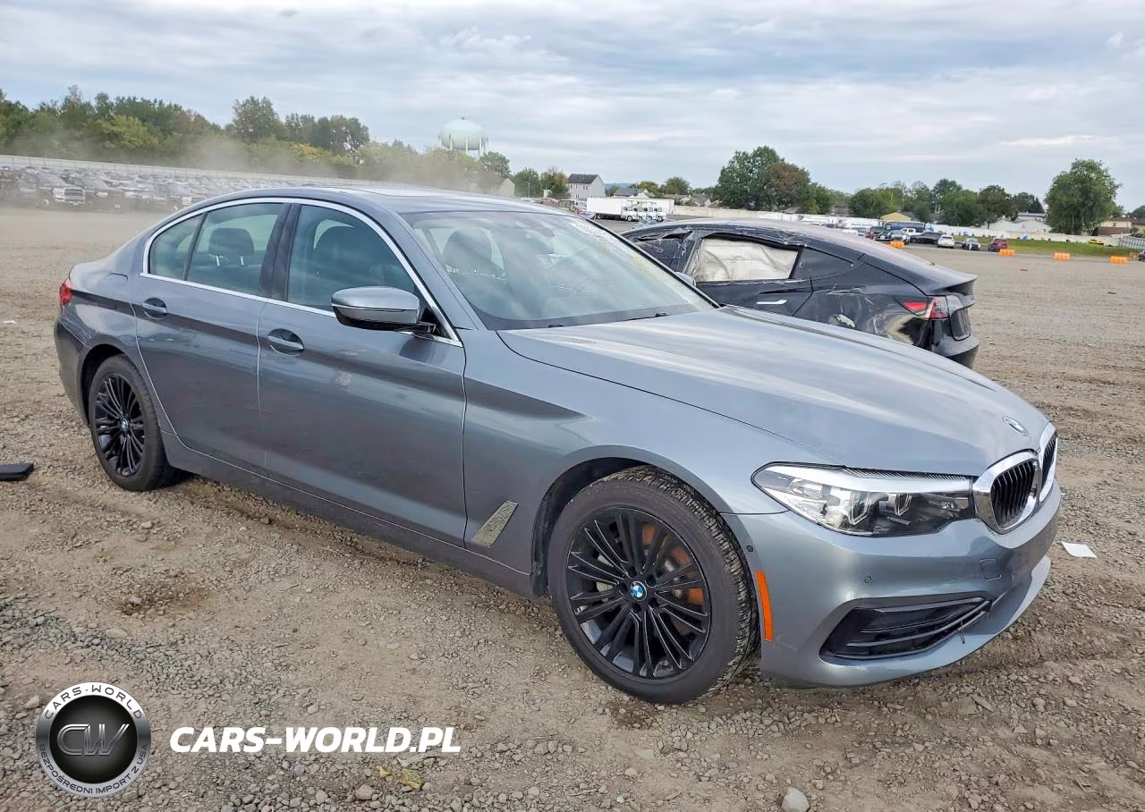 2020 BMW 530 Xi VIN:WBAJR7C04LCD10038 - 4