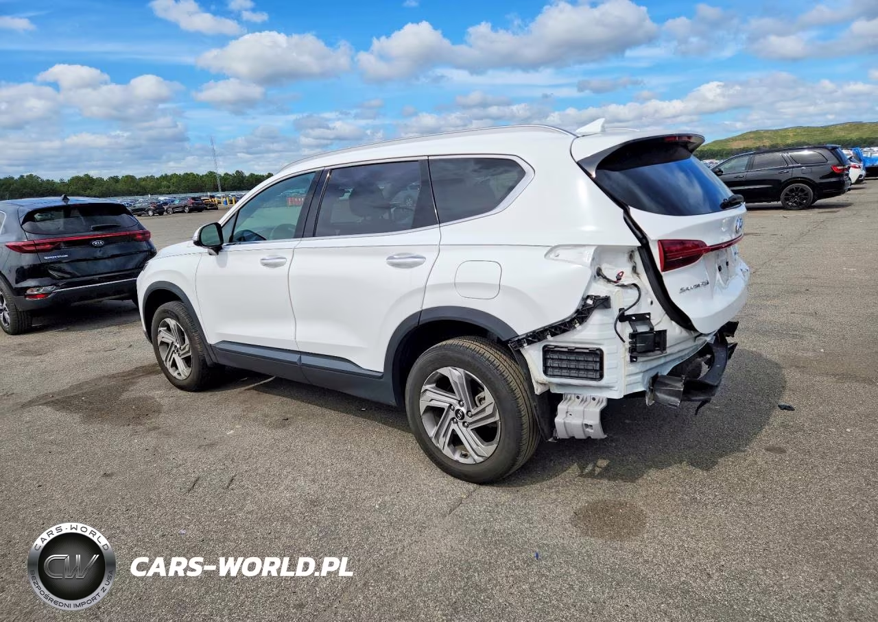 2023 Hyundai Santa Fe Sel VIN:5NMS2DAJ6PH553117 - 2