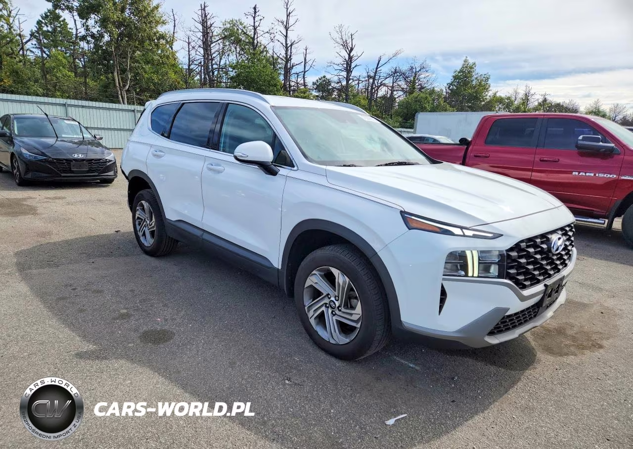 2023 Hyundai Santa Fe Sel VIN:5NMS2DAJ6PH553117 - 4
