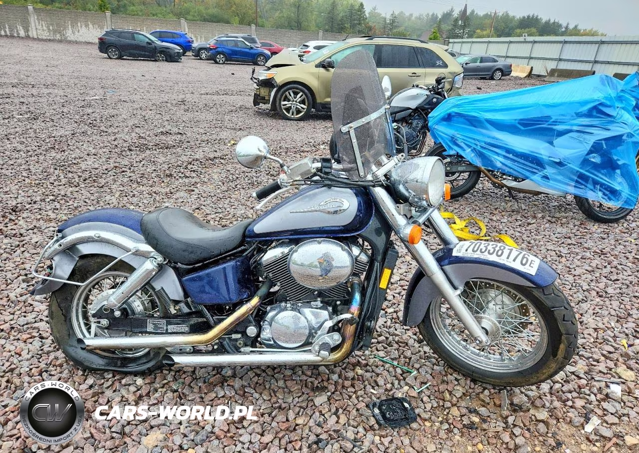 2001 Honda Vt750 Cd2 VIN:JH2RC44671M453585 - 1
