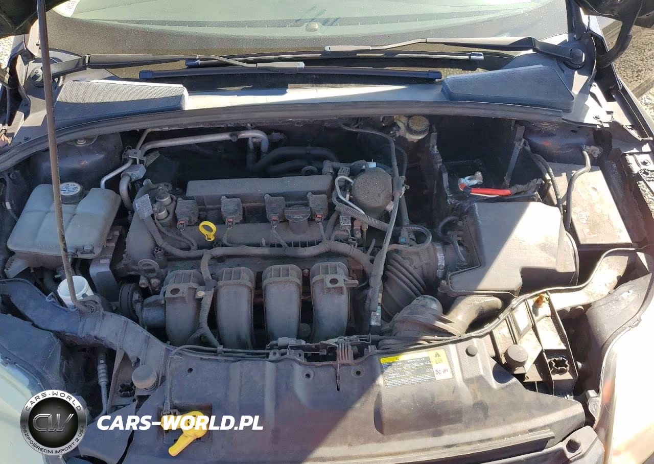 2013 Ford Focus Se VIN:1FADP3F27DL205512 - 11