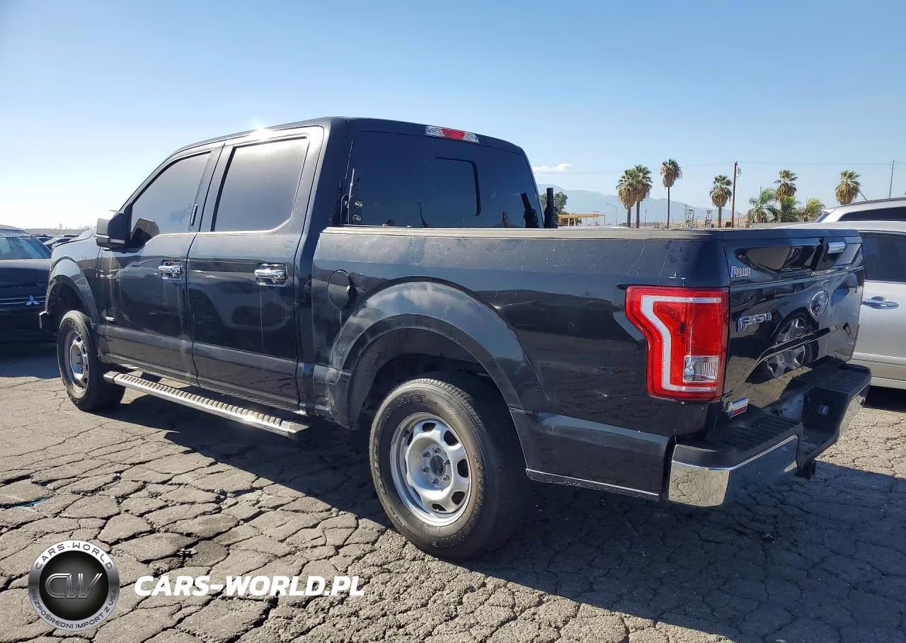 2015 Ford F150 Supercrew VIN:1FTEW1CPXFKD95305 - 2