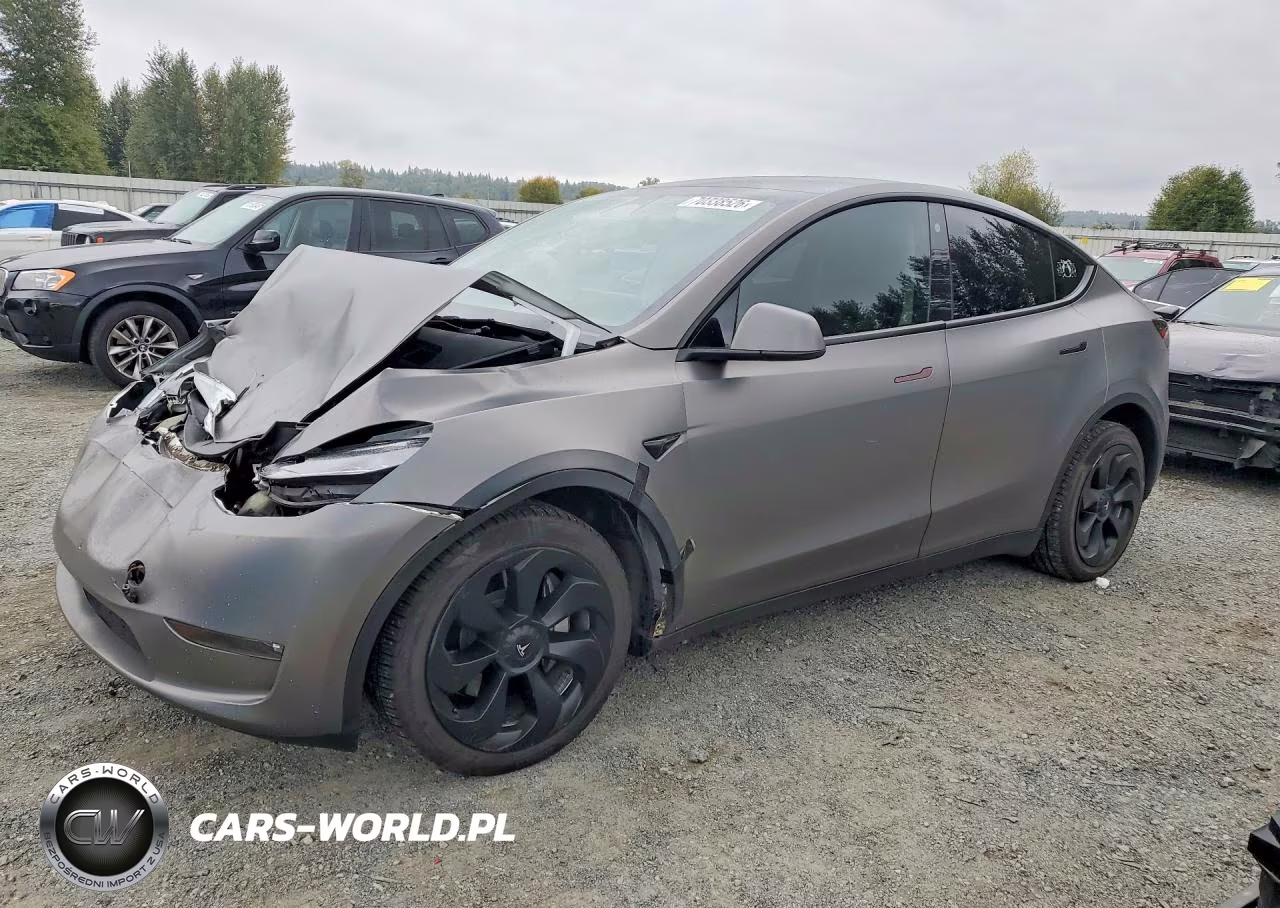 2023 Tesla Model Y VIN:7SAYGDEE2PF782228 - 1
