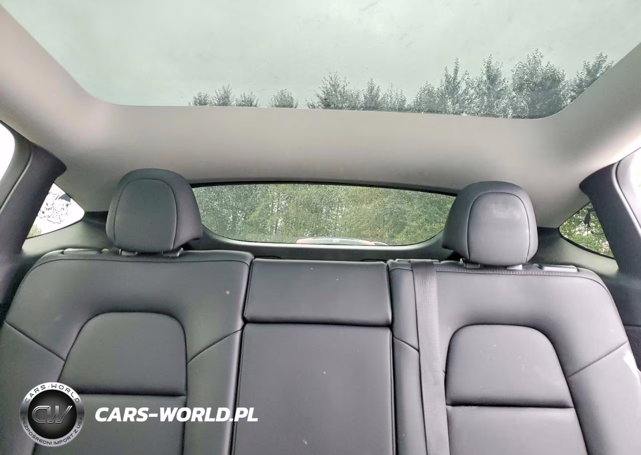 2023 Tesla Model Y VIN:7SAYGDEE2PF782228 - 10