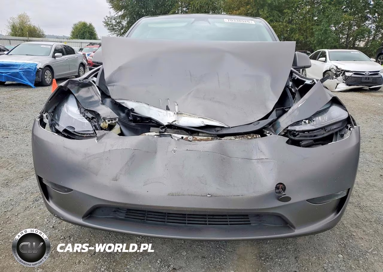 2023 Tesla Model Y VIN:7SAYGDEE2PF782228 - 5