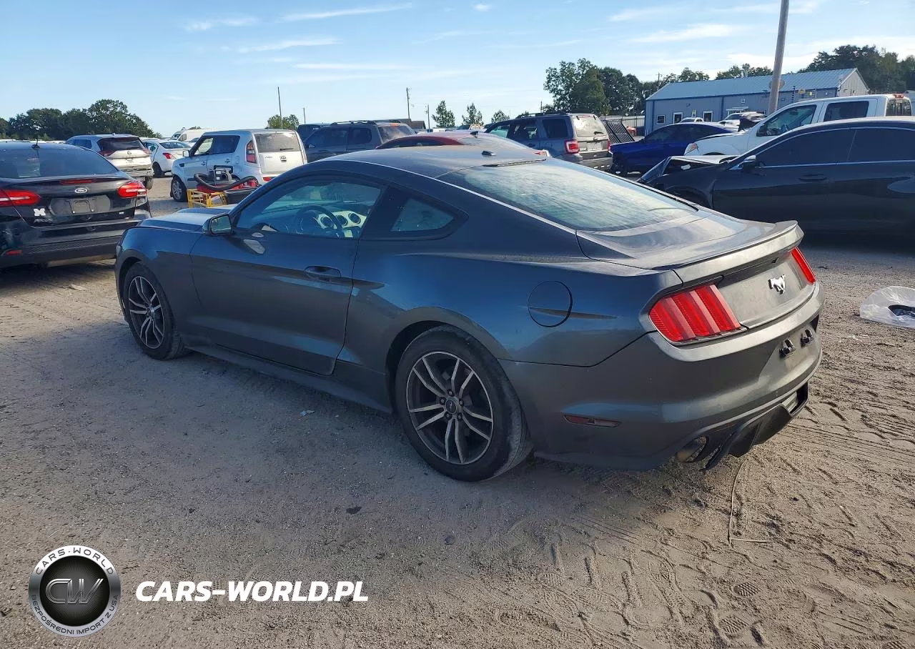 2016 Ford Mustang VIN:1FA6P8TH2G5227442 - 2