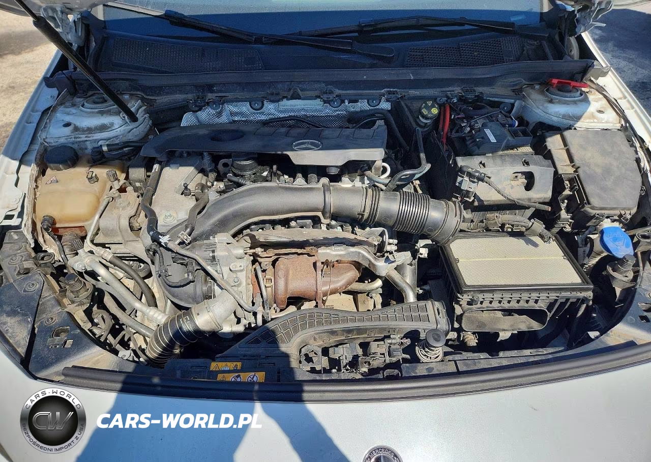 2020 Mercedes-Benz A 220 4Matic VIN:WDD3G4FB9LW039413 - 11