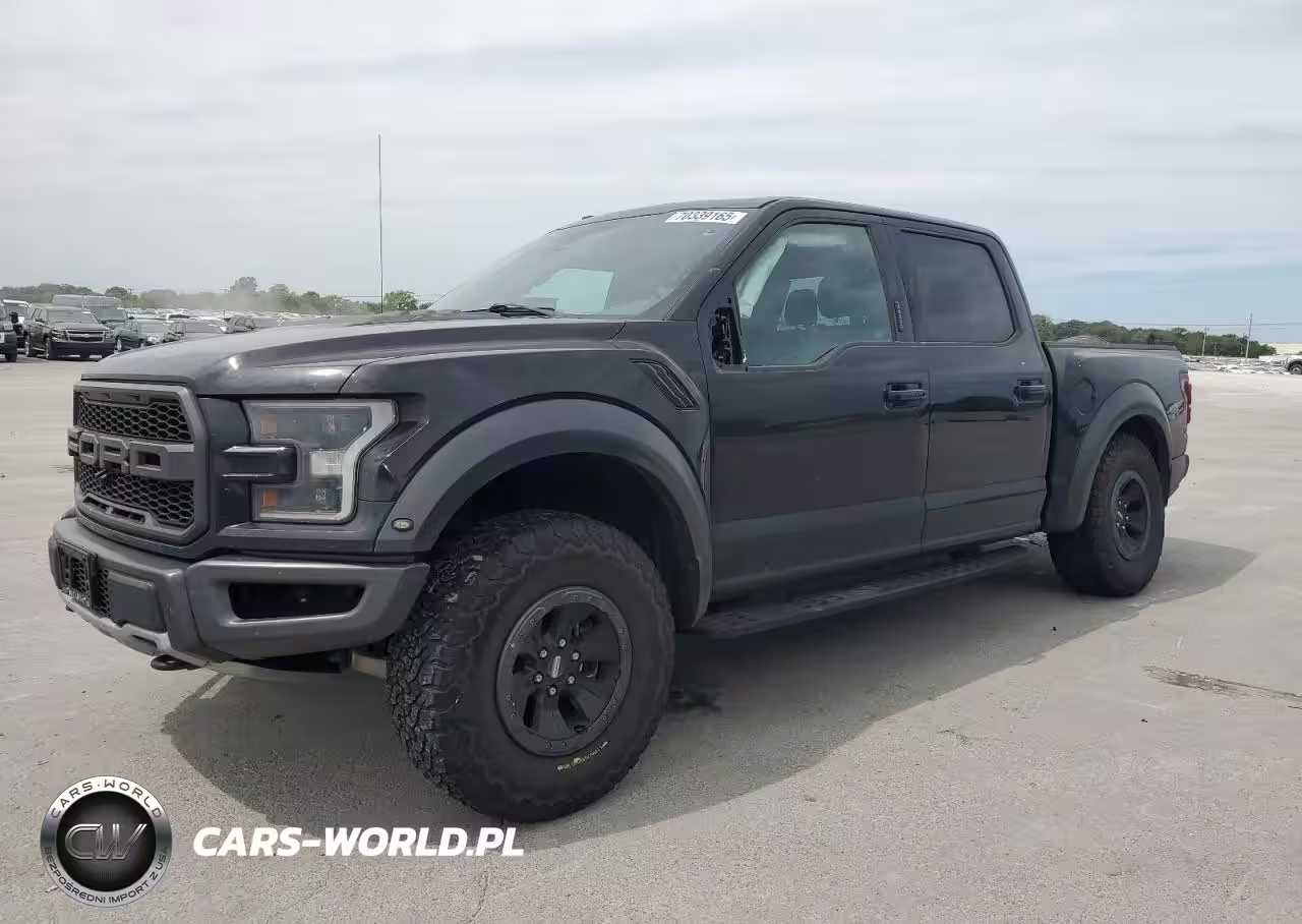 2017 Ford F150 Raptor