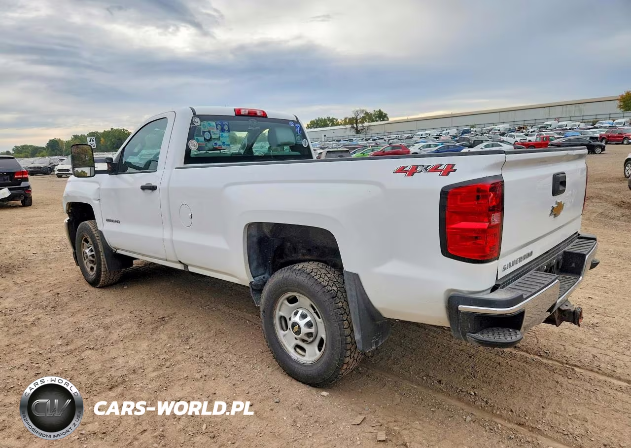 2018 Chevrolet Silverado K2500 Heavy Duty VIN:1GC0KUEGXJZ174596 - 2