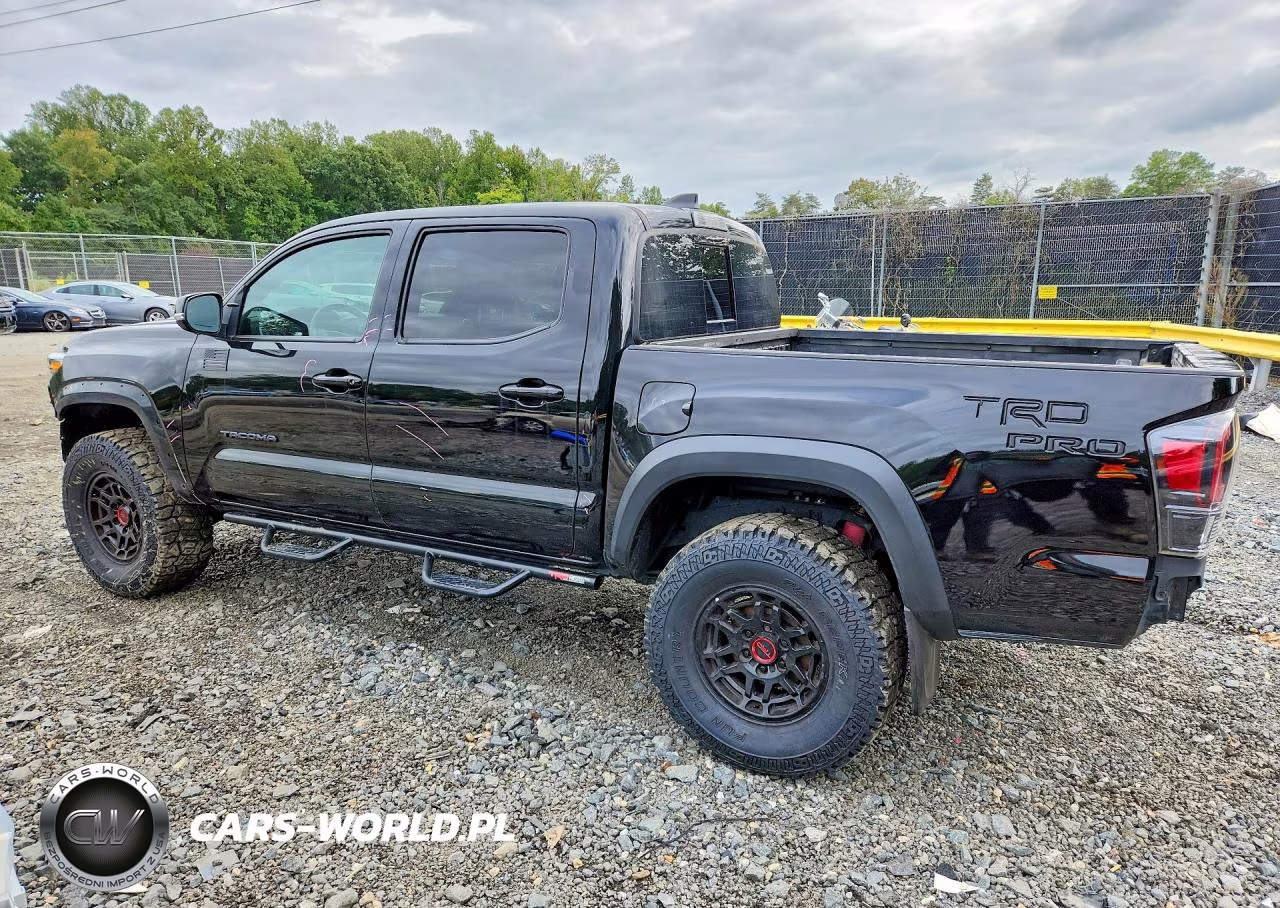 2023 Toyota Tacoma Trd Pro VIN:3TYCZ5AN6PT166299 - 2