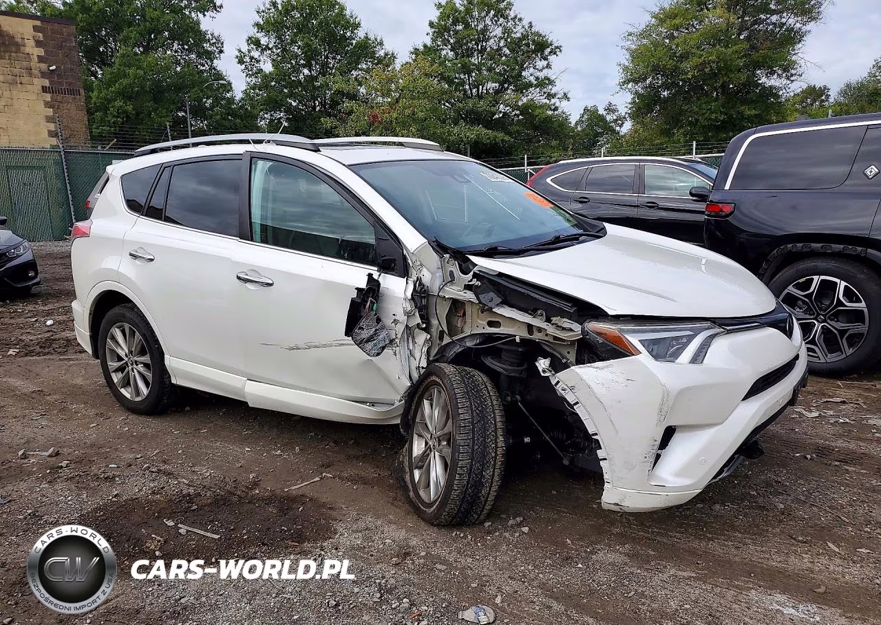 2017 Toyota Rav4 Platinum VIN:2T3DFREVXHW651846 - 4
