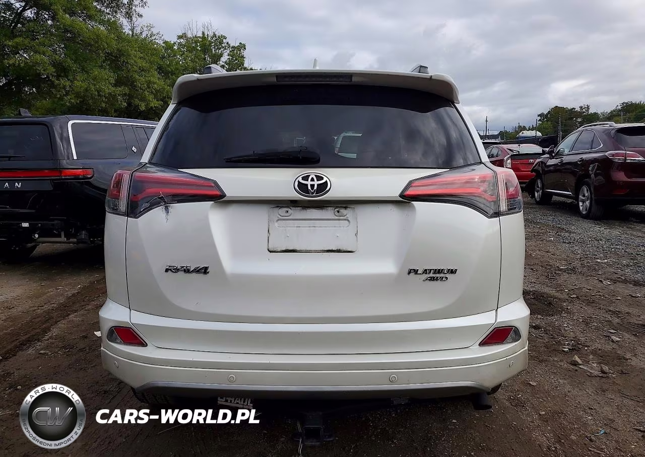 2017 Toyota Rav4 Platinum VIN:2T3DFREVXHW651846 - 6