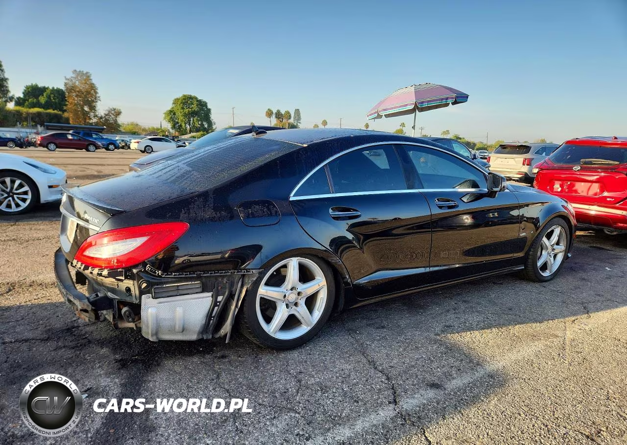 2012 Mercedes-Benz Cls 550 4Matic VIN:WDDLJ9BB4CA029289 - 3