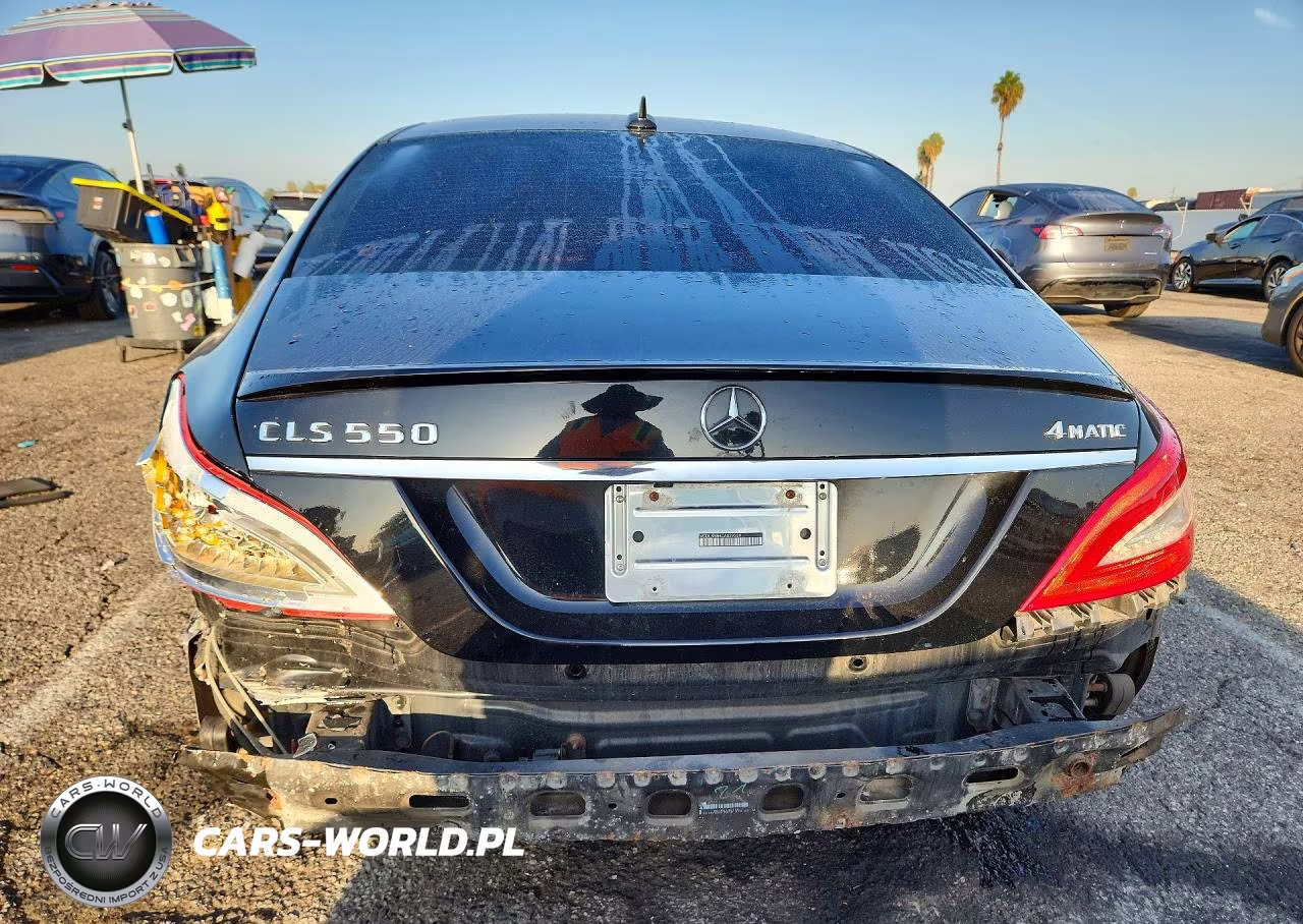 2012 Mercedes-Benz Cls 550 4Matic VIN:WDDLJ9BB4CA029289 - 6